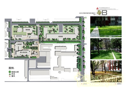 郭明 景觀設(shè)計(jì) 北京園博會(huì) 設(shè)計(jì)師廣場(chǎng) 北大醫(yī)學(xué)部 中國(guó)風(fēng)景園林網(wǎng)