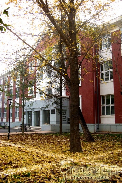 郭明 景觀設計 北京園博會 設計師廣場 北大醫學部 中國風景園林網