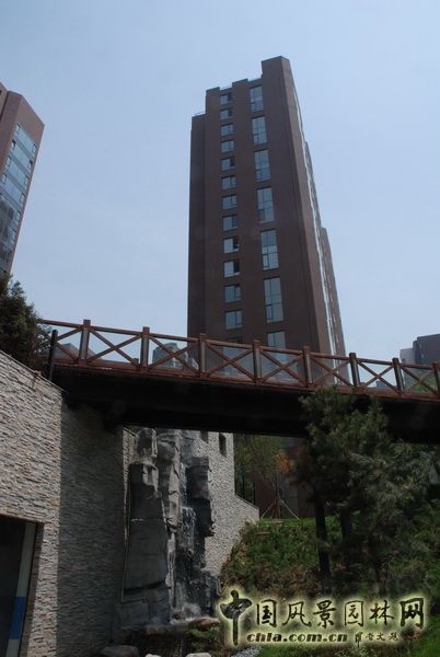 郭明 融科橄欖城 景觀設計 景觀師 中國風景園林網