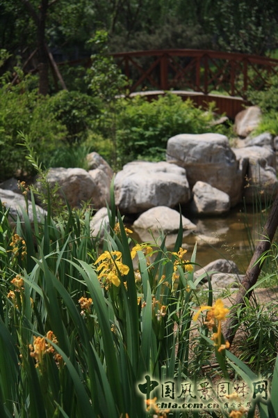 郭明 融科橄欖城 景觀設(shè)計(jì) 景觀師 中國(guó)風(fēng)景園林網(wǎng)