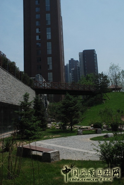 郭明 融科橄欖城 景觀設(shè)計(jì) 景觀師 中國(guó)風(fēng)景園林網(wǎng)