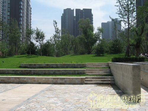 郭明 融科橄欖城 景觀設計 景觀師 中國風景園林網