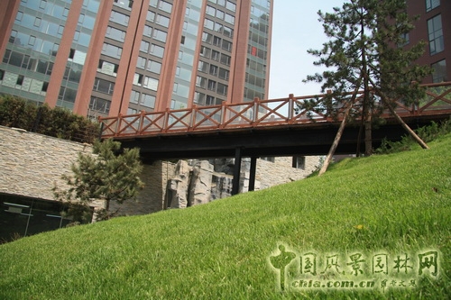 郭明 融科橄欖城 景觀設計 景觀師 中國風景園林網