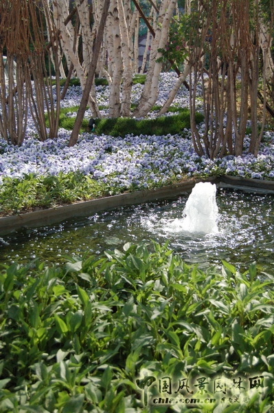 郭明 世華泊郡 庭園設計 景觀設計 中外園林 中國風景園林網