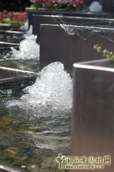 郭明 世華泊郡 庭園設計 景觀設計 中外園林 中國風景園林網