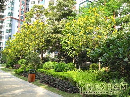 邱堅珍 作品 清遠