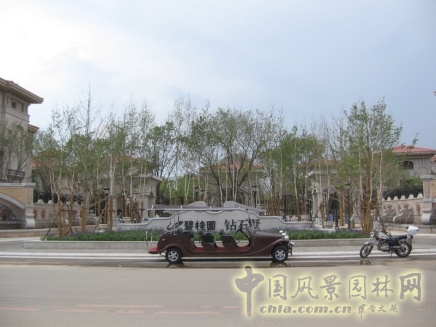 俎志峰 作品 景觀