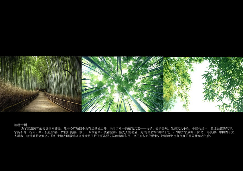 汪杰 瓷源 北京園博會 設(shè)計(jì)師廣場 競賽 獲獎 中國風(fēng)景園林網(wǎng)