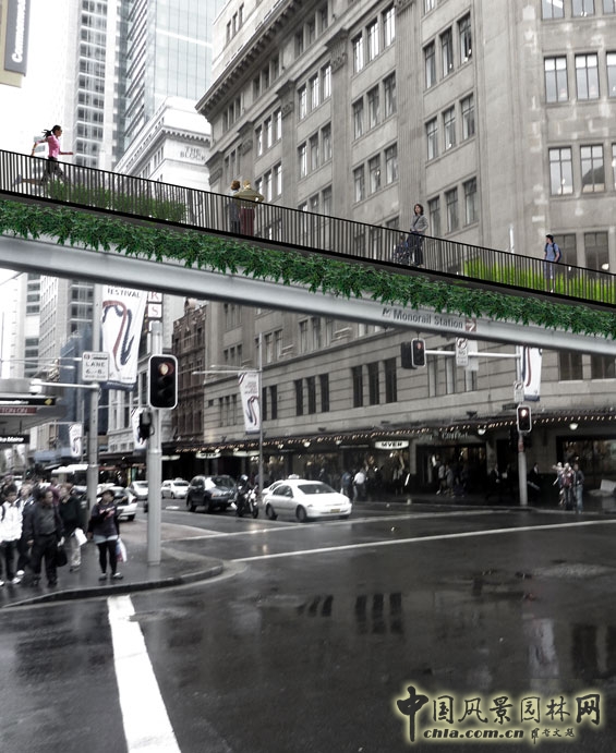 悉尼 鐵路 高線公園 世界園林 國際動態 