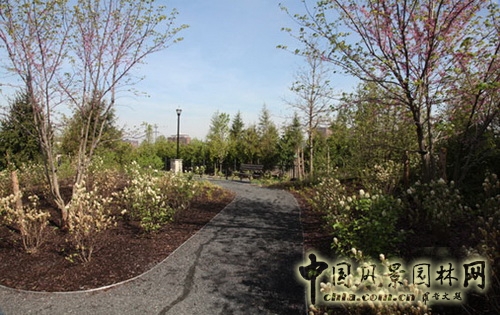 美國紐波特 多功能 海濱公園 世界園林 中國風景園林網