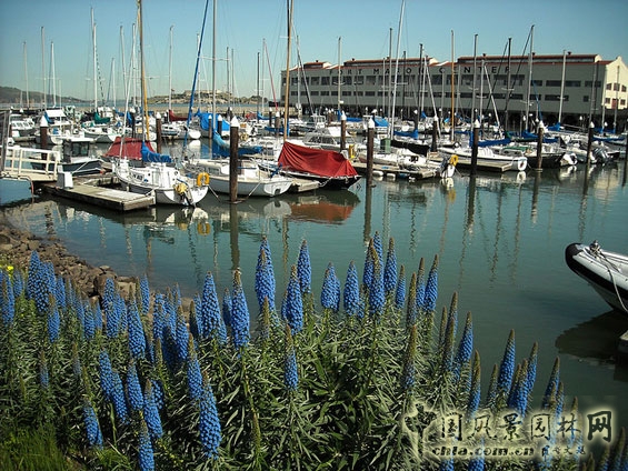 福特-梅森中心 設計方案 國際動態(tài) 中國風景園林網