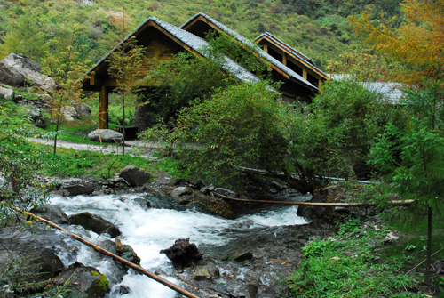 中國風景園林網 風景園林師 顧志凌