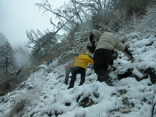 中國(guó)風(fēng)景園林網(wǎng) 風(fēng)景園林師 顧志凌