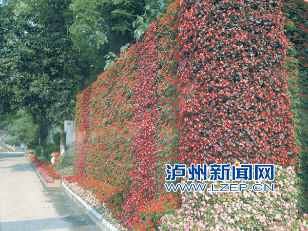 瀘州 忠山公園 新增 景觀墻 中國風景園林網