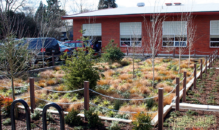 風景園林 雨水花園 ASLA獲獎案例 
