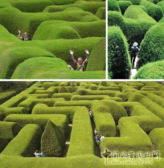 園博會 設計師 廣場