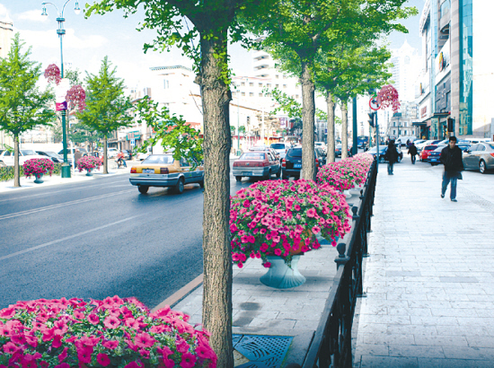 沈陽(yáng) 太原 景觀