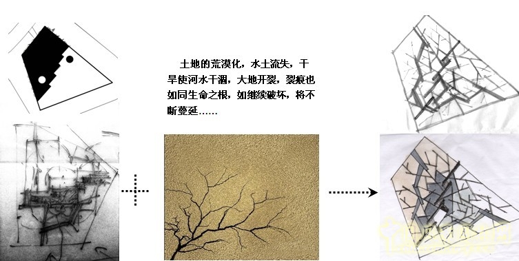 鏡園 張建林 雨水收集系統 園林植物 設計 園林 景觀