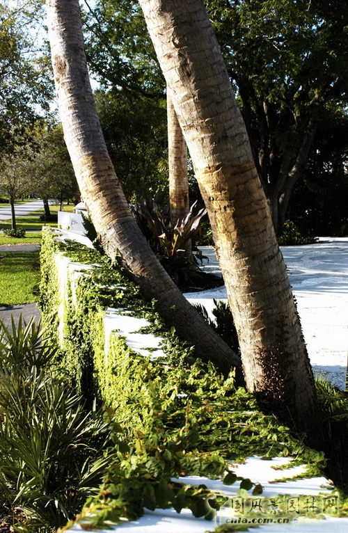 GEO事務所曼哈頓漢密爾頓住宅環境設計 世界園林 中國風景園林網 