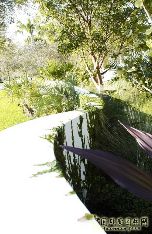 GEO事務(wù)所曼哈頓漢密爾頓住宅環(huán)境設(shè)計(jì) 世界園林 中國(guó)風(fēng)景園林網(wǎng) 