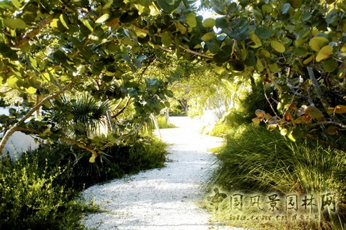 GEO事務所曼哈頓漢密爾頓住宅環境設計 世界園林 中國風景園林網 