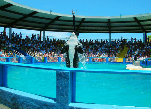 邁阿密水族館