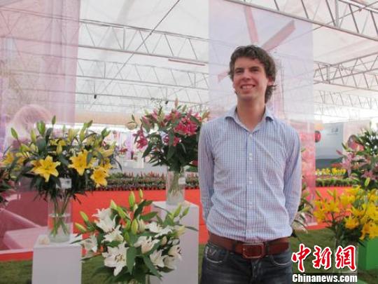 江蘇 東海 荷蘭