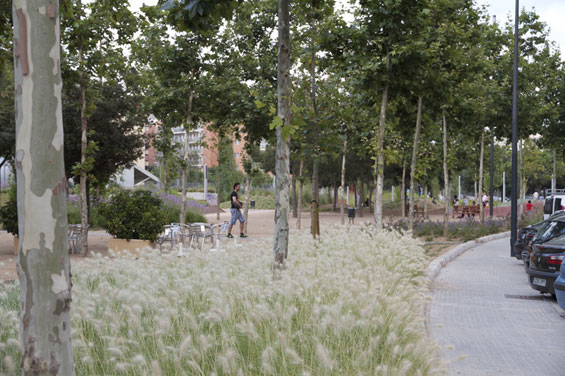 西班牙雷烏斯甘地公園實景展示 公園綠地 世界園林 中國風景園林網