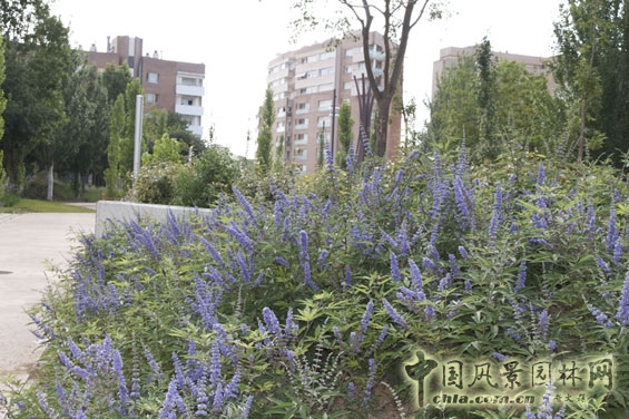 西班牙雷烏斯甘地公園實景展示 公園綠地 世界園林 中國風景園林網