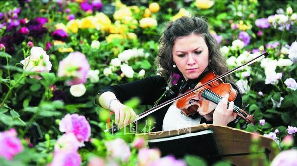 英國(guó) 切爾西 花展