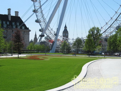 West8倫敦女王禧慶花園 世界園林 規(guī)劃設(shè)計 中國風(fēng)景園林網(wǎng)