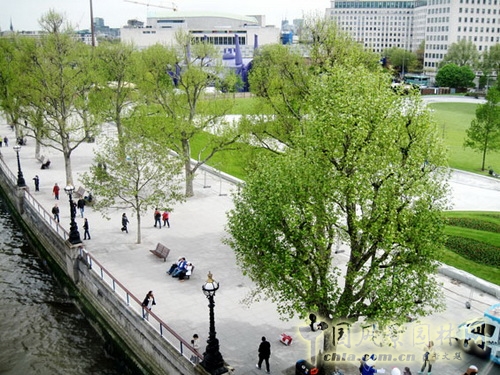 West8倫敦女王禧慶花園 世界園林 規(guī)劃設(shè)計 中國風(fēng)景園林網(wǎng)