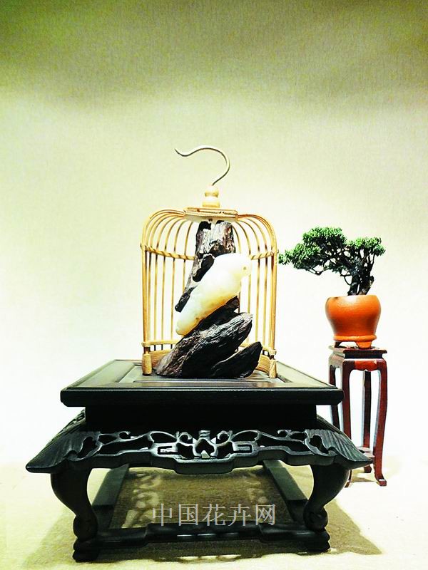 奇石 小品 作品