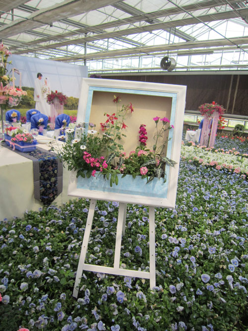 草花 應(yīng)用 婚禮