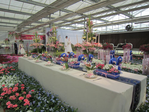 草花 應(yīng)用 婚禮