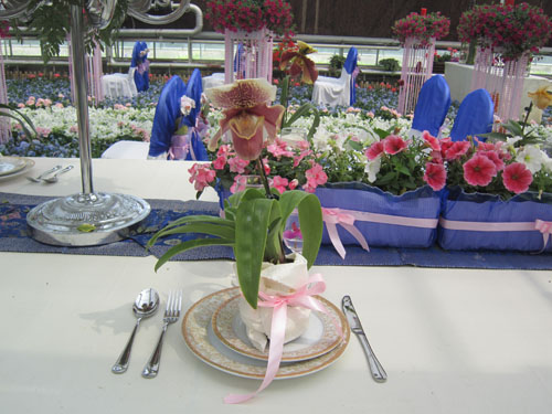 草花 應(yīng)用 婚禮