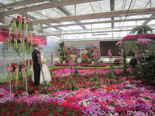 草花 應用 婚禮