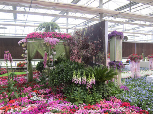 草花 應用 婚禮