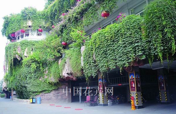 河北 保定 立體綠化