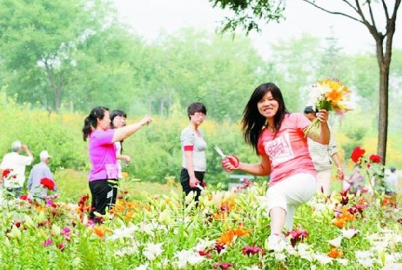 百合 北京 鮮花港