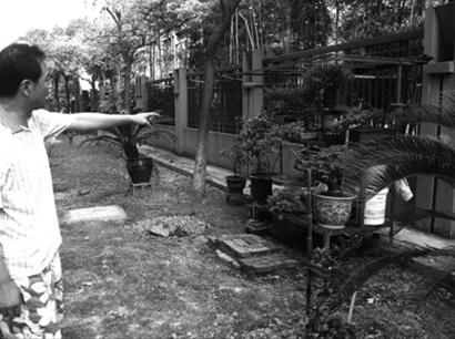 公共綠地 盆景 花卉植物 小區綠化