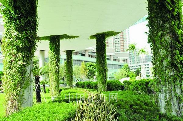 高空綠化 綠化 香港