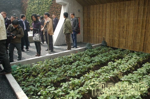 滕頭案例館中的農莊