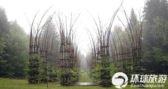 樹木栽培的綠色“教堂”