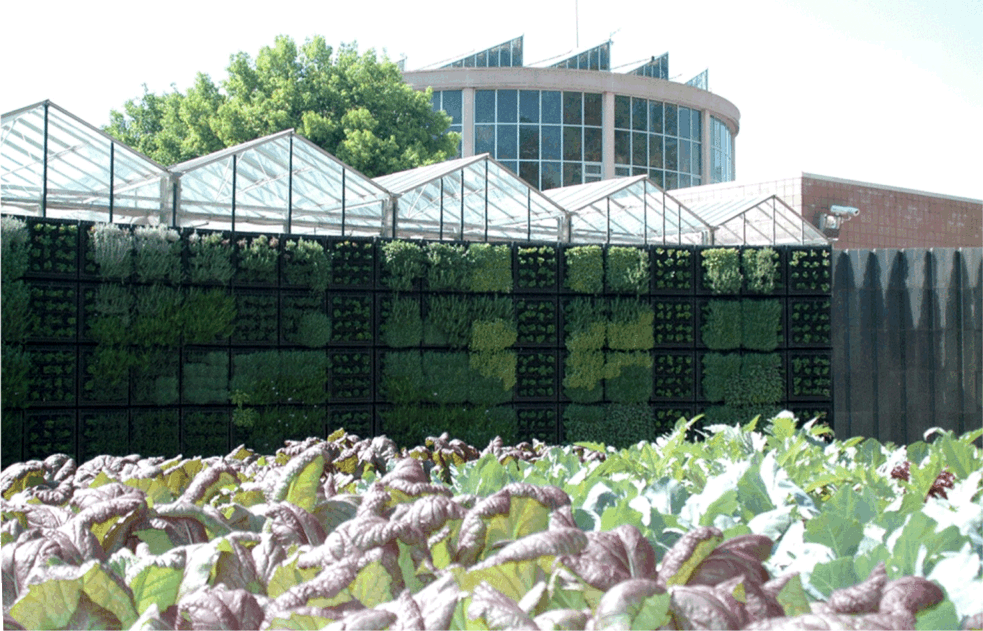 亞特蘭大植物園生態墻