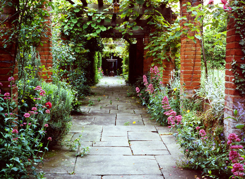 花園 園藝 杰基爾