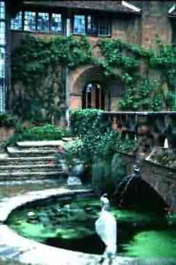 花園 園藝 杰基爾