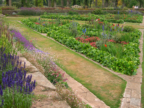杰基爾 花園 植物配置
