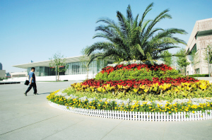 天津 綠化 城市