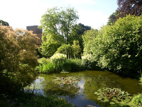 杰基爾 花園 藝術